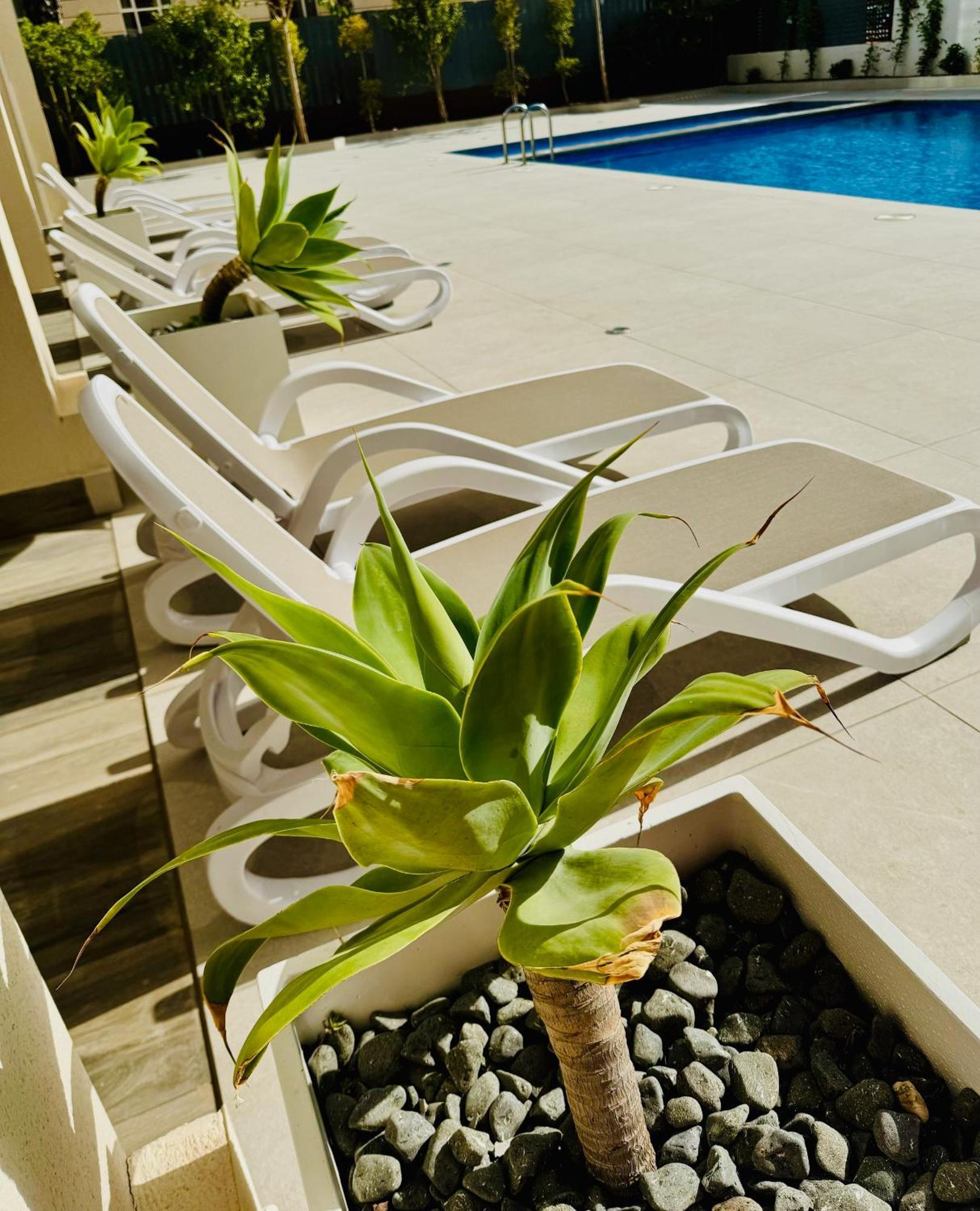 Calpe Beach II - Sea & Pool View Apartment ภายนอก รูปภาพ